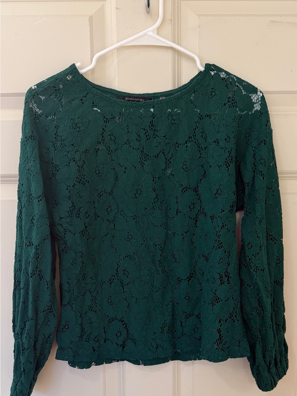 Banana Republic Dark Green Floral Lace Long-Sleeve Blouse